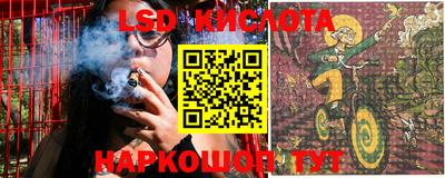 прущие крисы Славгород