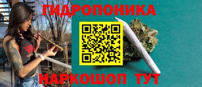 прущие крисы Славгород