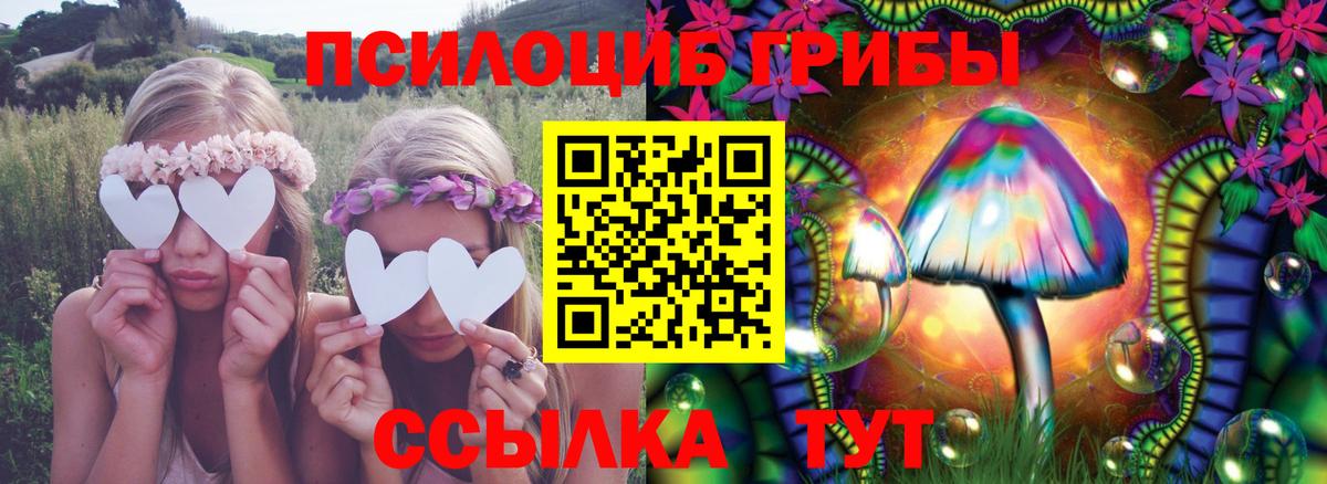 Псилоцибиновые грибы Cubensis Карабулак